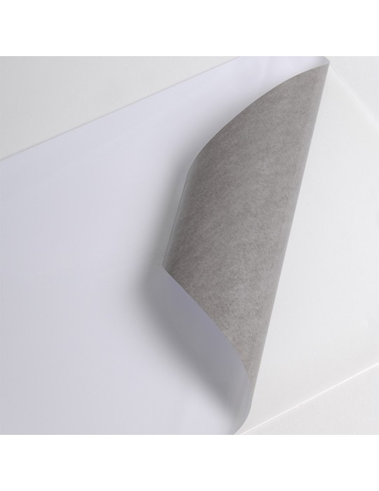 HX240WG2 - Blanc Brillant adh permanent gris